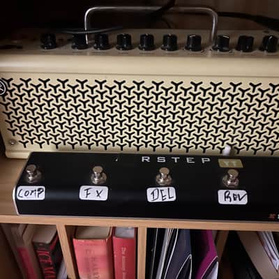 Yamaha THR10II 20 and airstep YT Bild 2