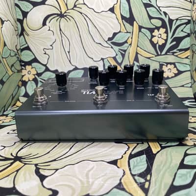 Immagine Strymon Timeline - 3