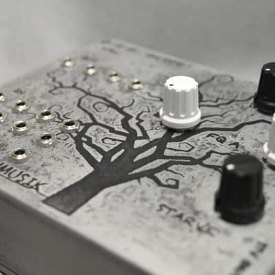 FrankenMusik Glitch Tree - Semi-Modular Drone Synth (V1) 2021 Silver / Black image 5