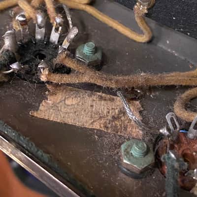 Fender Harvard 1958 - Tweed image 16