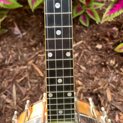 Vega Banjo Ukulele, 1927-1930, VGC, Vintage HSC image 10