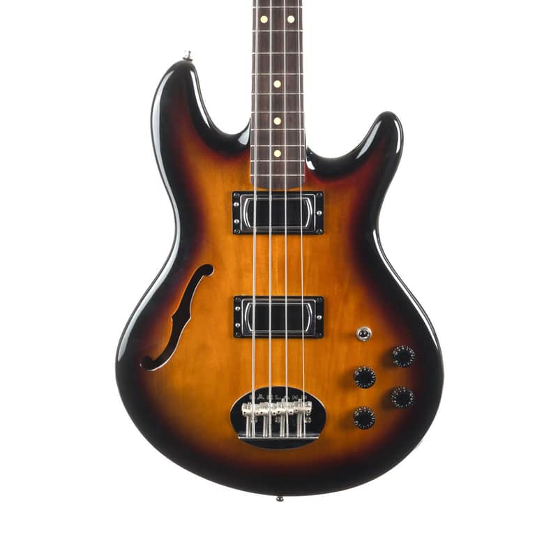 Lakland Skyline Hollowbody image 2