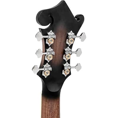 Gold Tone F-6 F-style 6-String Acoustic-Electric Mando-Guitar - Vintage Sunburst image 8