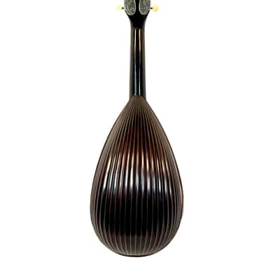 Stridente Neapolitan Mandolin Decorated Curved Ribs 1900's image 10