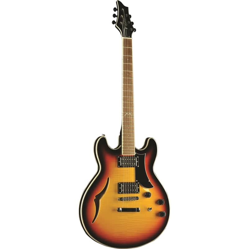 Eko Guitars MIA SA Vintage Sunburst image 1