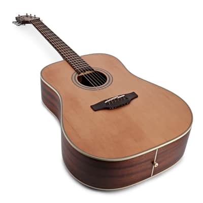 Takamine GD20 - G20 Series Dreadnought Acoustic Guitar - Mahogany - Dealer! - New! - Ships FREE! image 7