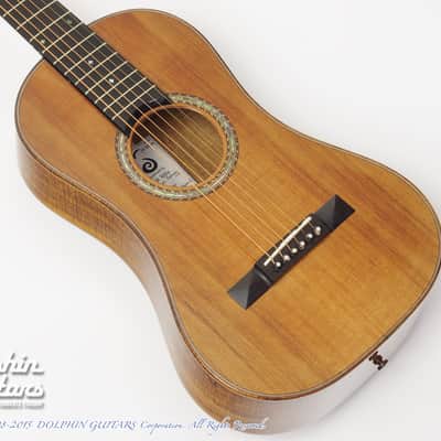 JACK SPIRA GUITARS JS-Ditson (Cedar & Tasmanian Blackwood) image 2