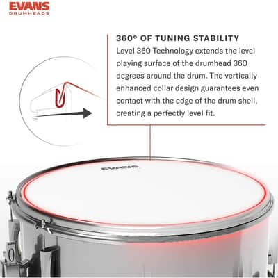 Evans G2 8" Coated image 2