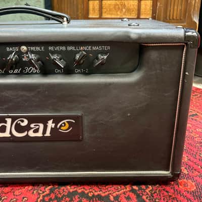 2009 Bad Cat Hot Cat 30R 30-Watt Guitar Amp Head with Reverb image 5