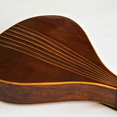 Mandolin by J. Murthwaite Newcastle 1901 image 20