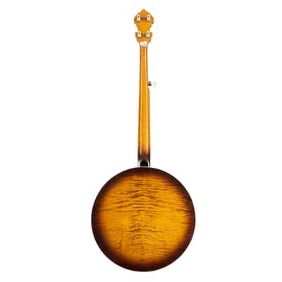Epiphone Earl Scruggs Golden Deluxe Banjo - Banjo image 3