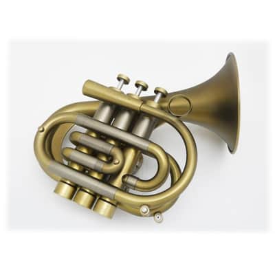 Brasspire Brassspire / P7 CUSTOM MODEL DML [Bb Pocket Trumpet] [Made to order] image 2