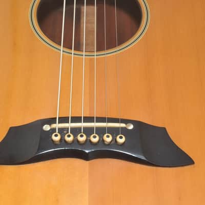 TAKAMINE PT-007N Acoustic guitar Ref. No 7744 image 4