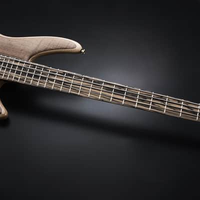 Ibanez IV1SR Visions SR Electric Bass 5-String + Case image 5
