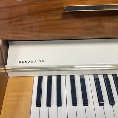 Hohner ORGANA 30 image 12