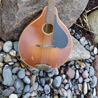Otwin Mandola, Mandoline, Mandolin brownburst 1950 - 1960 image 6