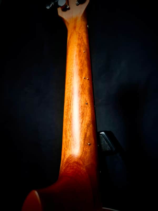 Kala KALA-LTP-MH Learn To Play Series Tenor Ukulele 2010s - Mandy Harvey image 1