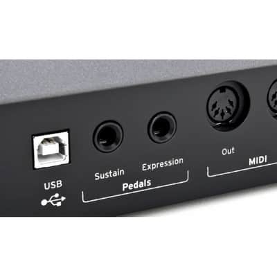 No VAT Ion Impulse 61 Tastiera Controller image 4