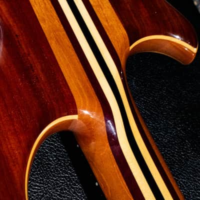 ALEMBIC MJLB5F Signature Standard 2010 image 15