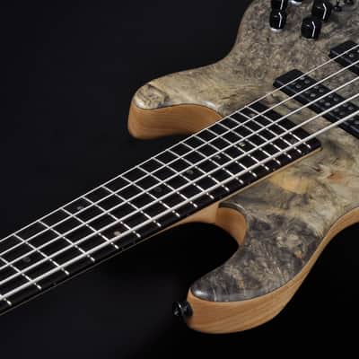 STR Bass #361 DLS549 (Authorized Dealer) Handmade in Japan Buckeye Nordstrand image 8