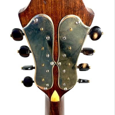 Concert Mandolin Raffaele Calace (Nicola Maria Calace) from 1902 image 13
