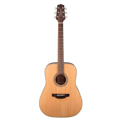 Recording King RD-06 06 Series Solid Top Dreadnought Acoustic
