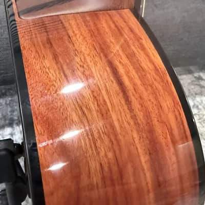 Dowina Aura - Old Stock Sitka Bearclaw Spruce/Macacuba with LR Baggs Anthem and custom Italian Hardshell Case *One-of-a-kind* image 19