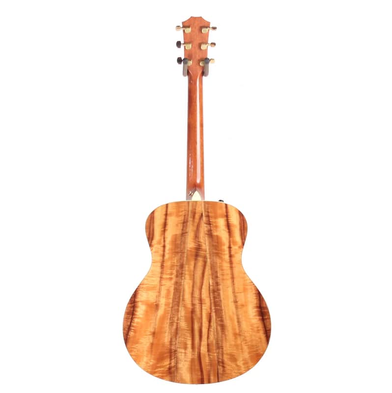 Taylor GS-K image 2