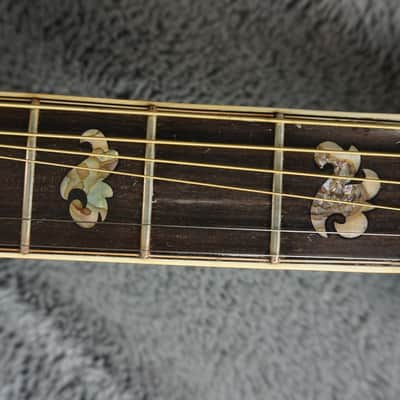 Morris Tornado SZ Japan Electric Acoustic Guitar image 9