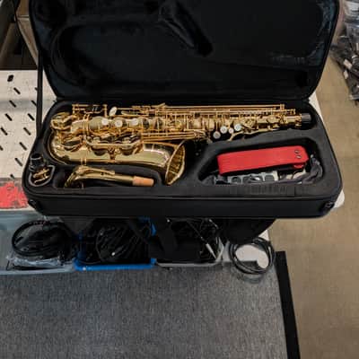 Ripa 5030VFRGL-SS Sax Alto Special image 8