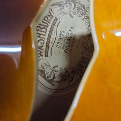 Washburn HB-30 image 2