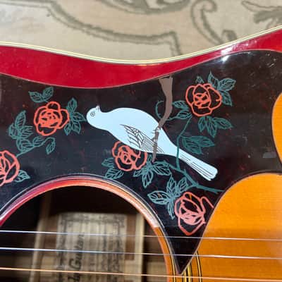 Terada T-100 Acoustic image 13