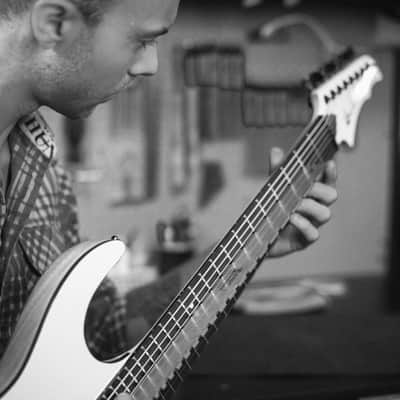 Add-on Item, Custom Setup (for Halo guitars only) image 2