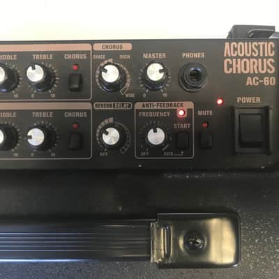 Roland Acoustic Chorus AC-60 Amp with Padded Carrying Case. Sale Benefits Music Education Nonprofit! image 6