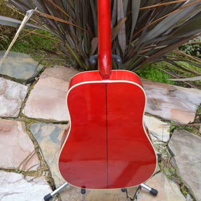 Gibson Dove 1975 Sunburst image 6