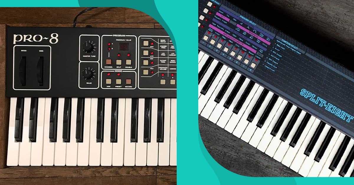 Sequential's Pro-8 & Split-Eight: A Tale of Two Synths | Reverb News