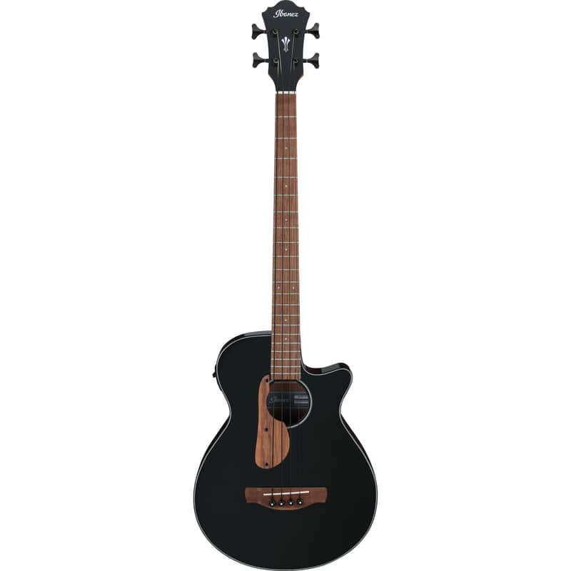 Ibanez AEGB24E Standard image 2