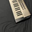 Roland RS-5 61-Key 64-Voice Synthesizer 2000 - 2003 - Brushed Aluminum
