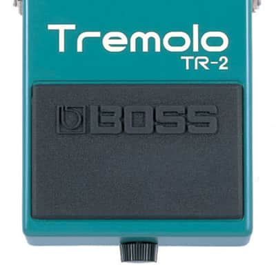 TR-2 Boss image 1