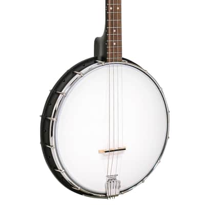 Gold Tone AC-4 IT/L: Acoustic Composite 4-String Openback Irish Tenor Banjo with Gig Bag image 11