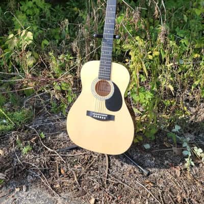 Jay Turser JJ43 3/4 sized dreadnought acoustic guitar with soft case image 1