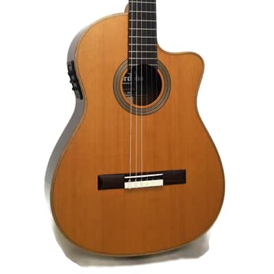 Cordoba Fusion 12 Orchestra Cedar & Rosewood Natural