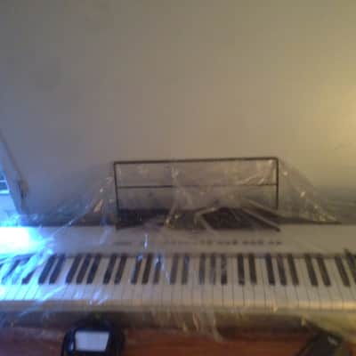 Kawai ES-X 2001 Silver *AS IS* image 4