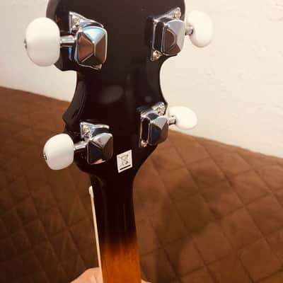 Washburn B10 Americana Series Remo Top Wood Mahogany Neck 5-String Banjo w/Mahogany Resonator image 22