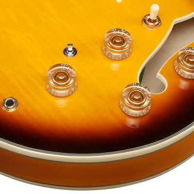 Ibanez JSM10EM TTB John Scofield Signature Semi Hollowbody Electric Guitar. 2 Tone Burst image 5