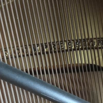 Steinway K 1903 Vertegrand image 18