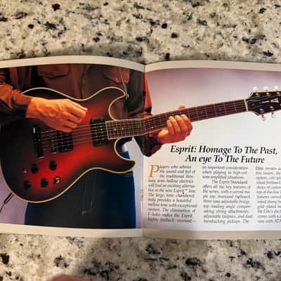 Fender Master Series Catalog Brochure Esprit Flame D'Aquisto image 7