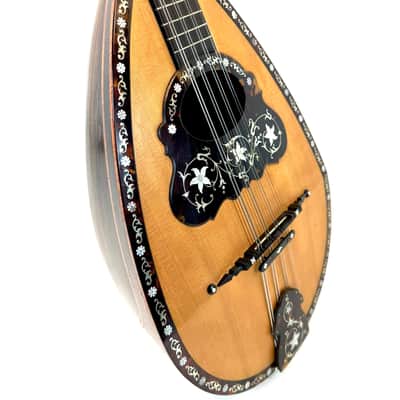 Umberto Ceccherini Mandola / Octave Mandolin (Giovanni Palladino Label) 1896 image 4