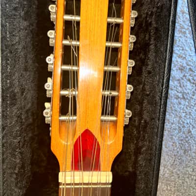 Blue Hawk 12-String Acoustic Guitar Made in W. Germany with Hard Case image 3