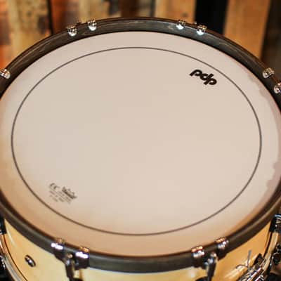 PDP 6.5x14 Concept Classic Natural Stain w/ Walnut Hoops Snare Drum - PDCC6514SSNW image 4